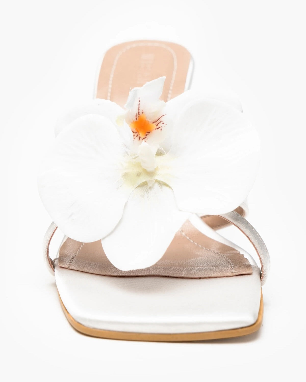 Papuqe Elegante me Lule 3D –  ORCHIDEA